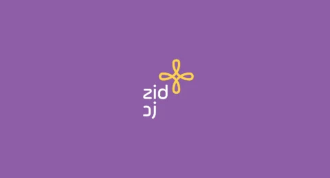 تصميم متجر زد